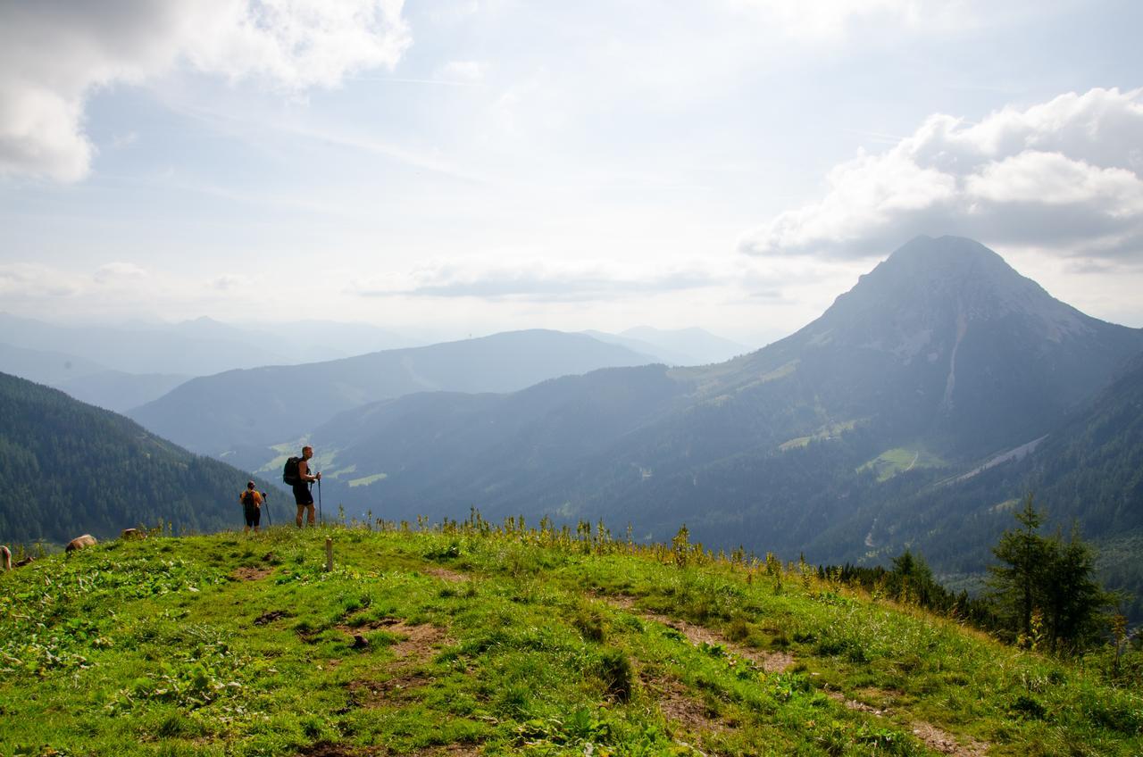 Апартаменты Sissi Park Haus Im Ennstal - Schladming Экстерьер фото
